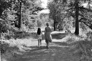 Fototapeta premium A summers walk