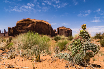 trails erlebnisreisen USA 2016