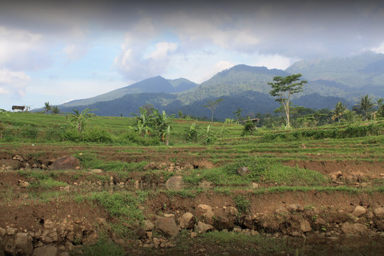 Mount ungaran