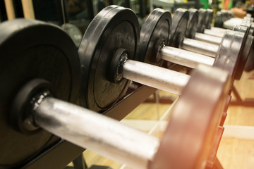dumbbell for exercise in the gym