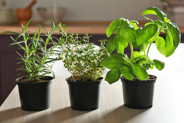 Pots with basil, thyme and rosemary on table