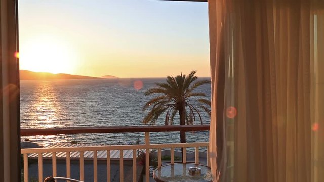 View of the sea and palm tree from a hotel room
