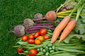 Vegetables fresh from the garden on the lawn