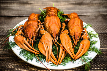 Boiled red crawfish on a white plate with green fennel on a wooden background. Tasty red steamed rawfish closeup on wood table, seafood dinner, nobody. Copy space for your text.