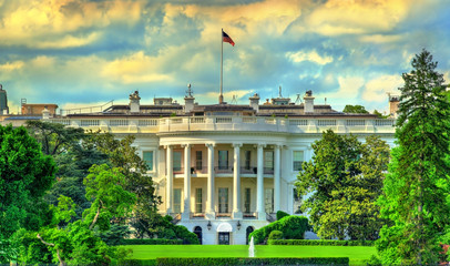 Fototapeta premium Biały Dom w Waszyngtonie