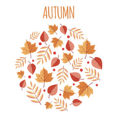 Autumn leaves circle background