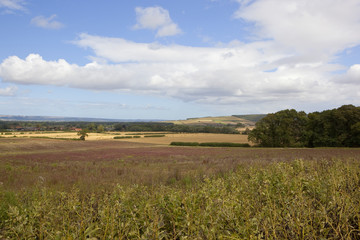 Fototapeta premium yorkshire wolds vista