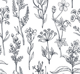 Vector seamless pattern with hand drawn herbs and flowers