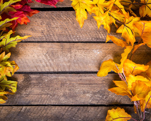 Obraz premium Bunte Herbstblätter