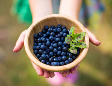 Hands holding bowl of blueberries
