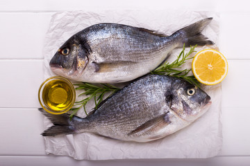 raw sea bream fish