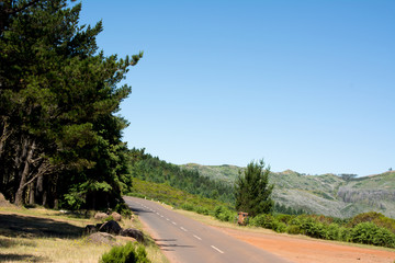 Winding mountain road in volcanic island, madeira