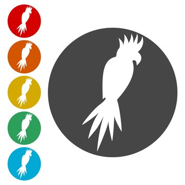 Vector cockatoo silhouette icons set 