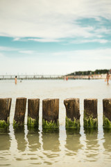 Fototapeta premium groynes in the baltic sea