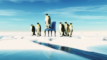 Penguin leader sits on a chair