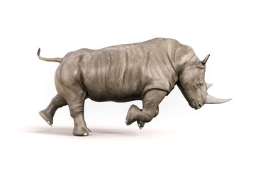 Rhino on white background © Orlando Florin Rosu