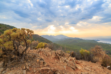 Small bushes of the mediterranean climate in mountains during sunset