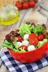 Bowl of mozzarella salad with cherry tomatoes and lettuce
