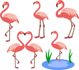 Naklejka premium Flamingo birds