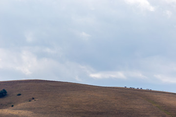 Some distant horses on top of a mountain, beneath a huge sky with clouds