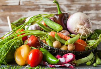 Assortment of raw fresh vegetables