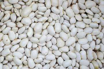 Large white beans fruit