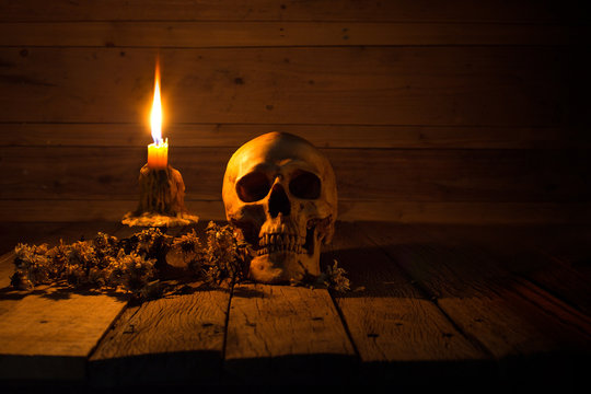Skull and light candle with candlestick and dried flowers on brown wooden plate for Halloween night