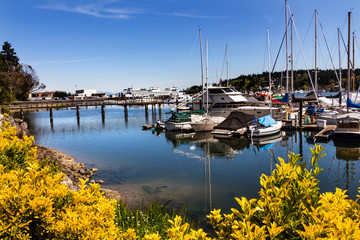 Bainbridge Island Harbor Puget Sound Washington State