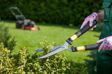 Naklejka premium Młoda kobieta pracuje w ogródzie.