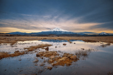 Obraz na płótnie Canvas Mountain with Reflective Puddle | Mt. Shasta, CA