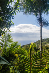 Landscape of Sierra Maestra mountain range near Santiago de Cuba, Cuba