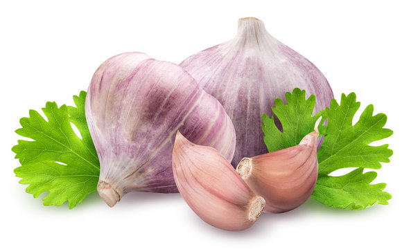 Fresh garlic with parsley isolated on white background