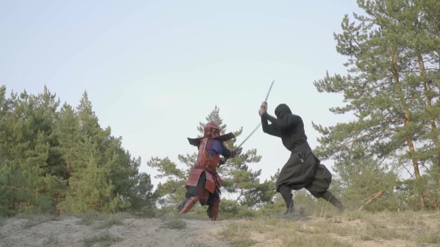 Epic battle on katanas of ninjas in black clothes and a mask against a samurai in red armor in a coniferous forest on a sunny day, slow motion