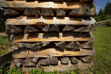 Woodpile in a forest 