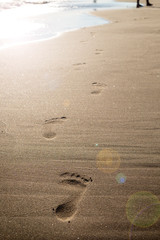 Footsteps on a sandy beach. Wave and sun. Holiday and travel concept. Summer vibes.