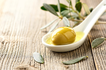 Olives, olive oil and olive branch on wooden light table with copy space for design.