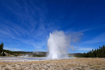 Daisy geyser firing up with an angle 