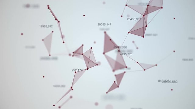 Plexus Connections networks
