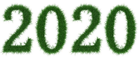 2020 - 3D rendering fresh Grass letters isolated on whhite background.