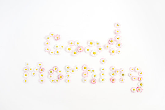 Quote Good Morning made of white and pink chamomile daisy flowers on white background. Flat lay, top view. Floral background. Pattern of flower buds.