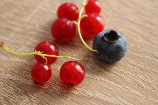 Cranberry and huckleberries