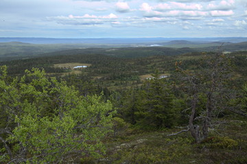 Obraz premium Panoramic view from Storvarden in the nature reserve Tandoevala in Dalarna, Sweden
