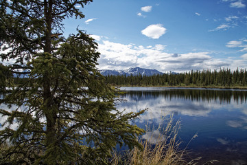 Hiking to a Lake in the Denali Valley
