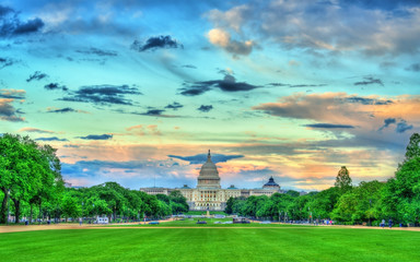 Fototapeta na wymiar The United States Capitol on the National Mall in Washington, DC