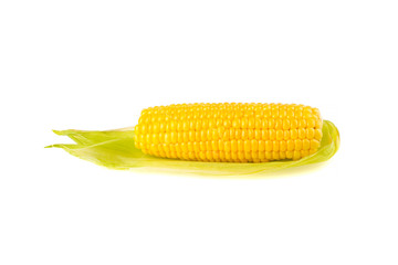 Sweet corn on white background