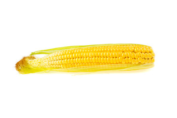 Sweet corn on white background
