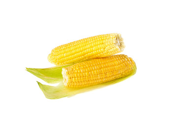 Sweet corn on white background