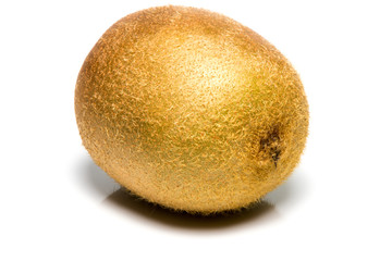A single kiwi on a white backgroun