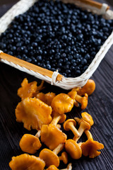 bilberry and chanterelles