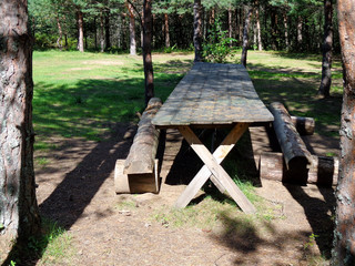 The wooden benches and the wooden table in the forest glade
